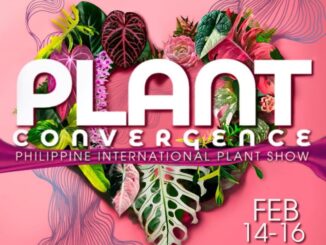 Plant Convergence