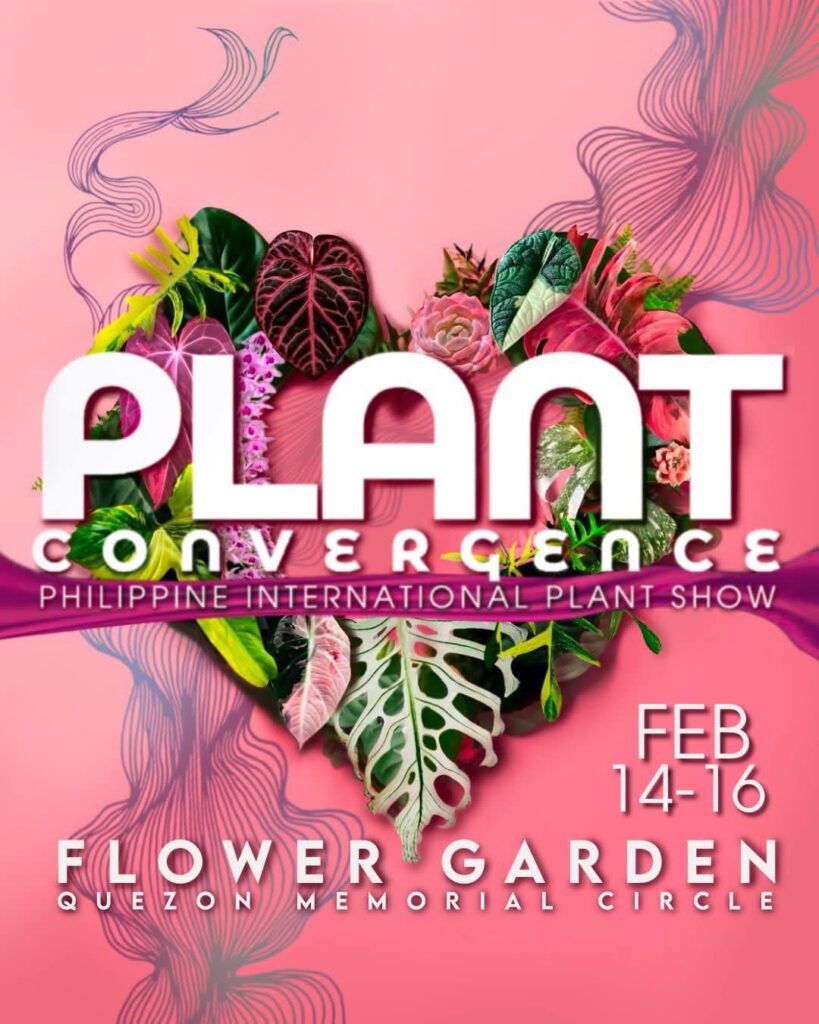 Plant Convergence