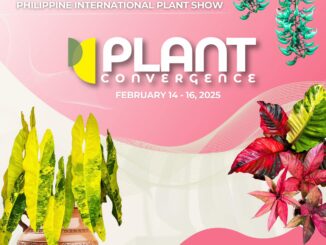 Plant Convergence